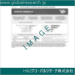 グローバルリサーチ調査資料のイメージ